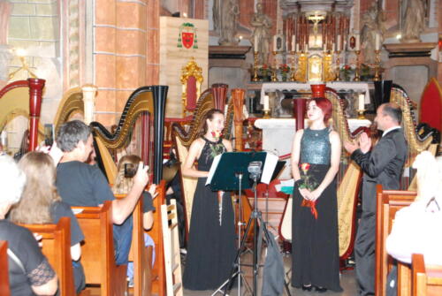 DSC 0024
