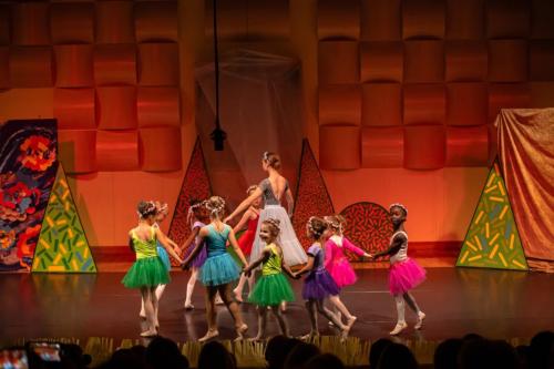 Baletna revija 2025-145