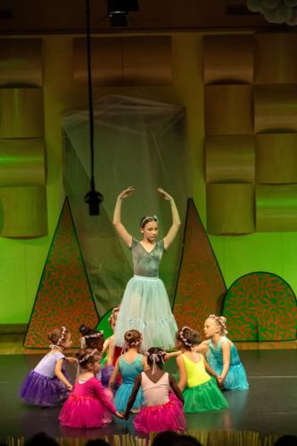 Baletna revija 2025-148