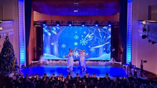 viber_image_2025-12-02_10-35-07-813