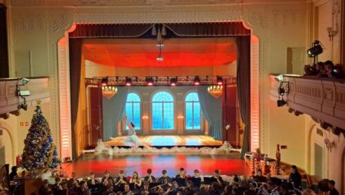 viber_image_2025-12-02_10-35-08-004